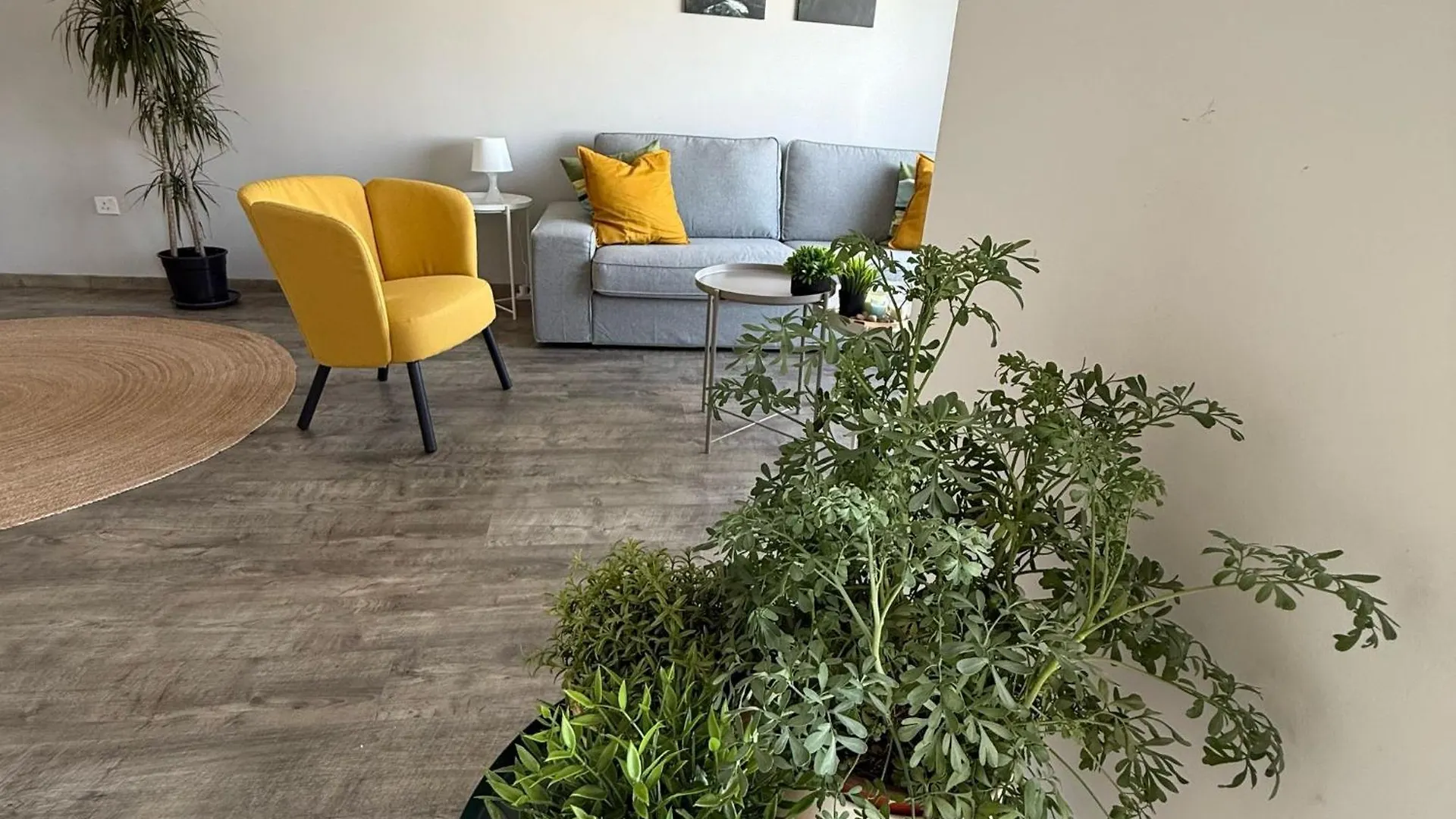 Apartment Luxurious Penthouse In Larnaca Center 300M From The Beach